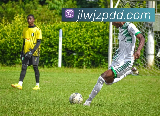 ag九游会平台生态图